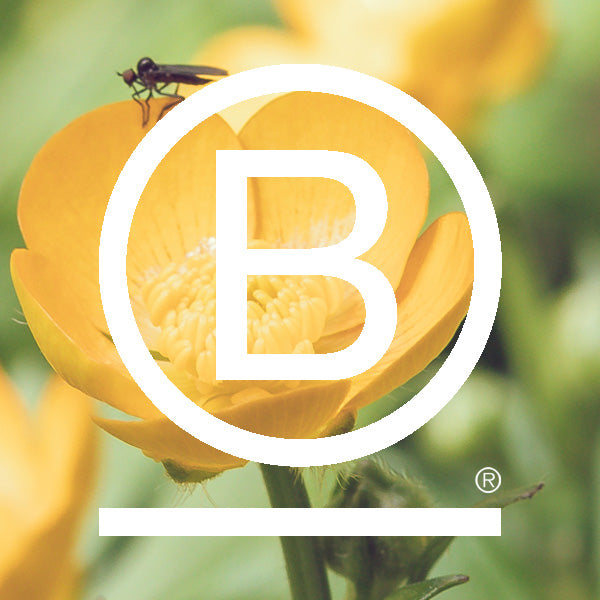 The Road to B Corp