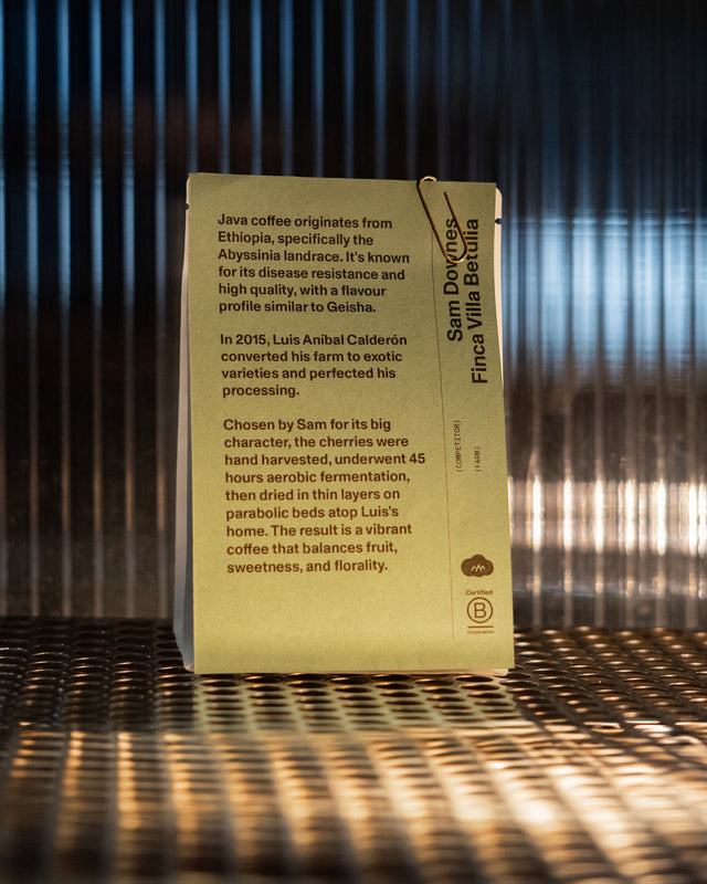 Irish Barista Championship Coffee 2025 | Sam & Bruno | 2 x 100g