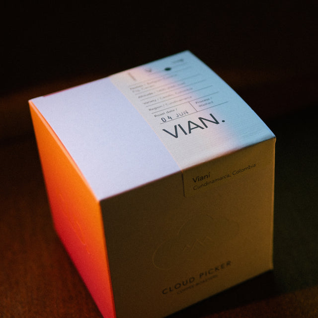 Colombia | Vianí
