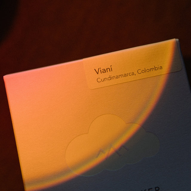 Colombia | Vianí