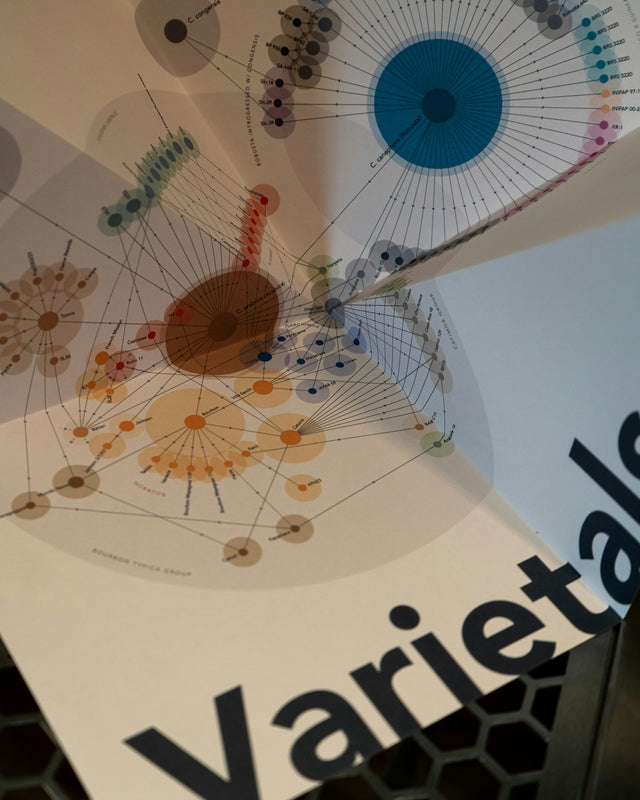 Roast Your Own Experience