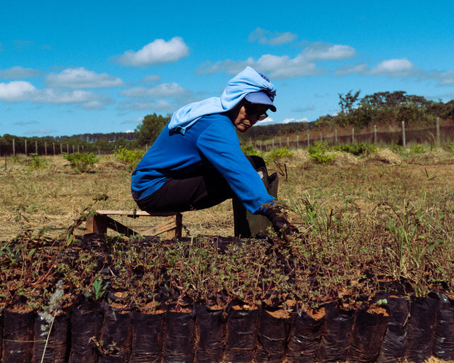 Brewing a Sustainable Future