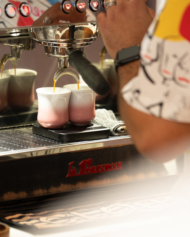 Irish Barista Championship Coffee 2025 | Sam & Bruno | 2 x 100g