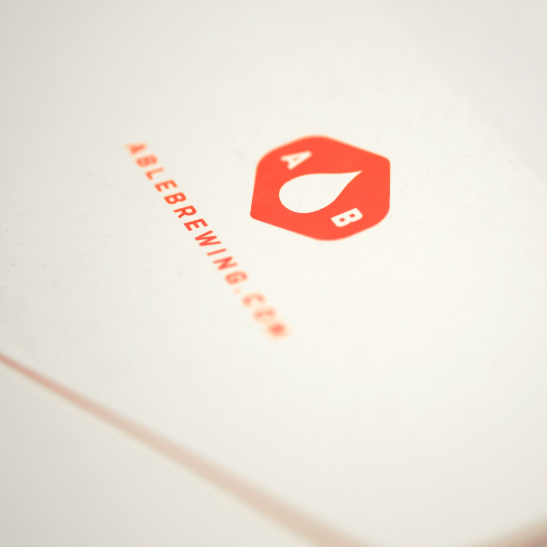 Able Aeropress Permanent Filter Disk