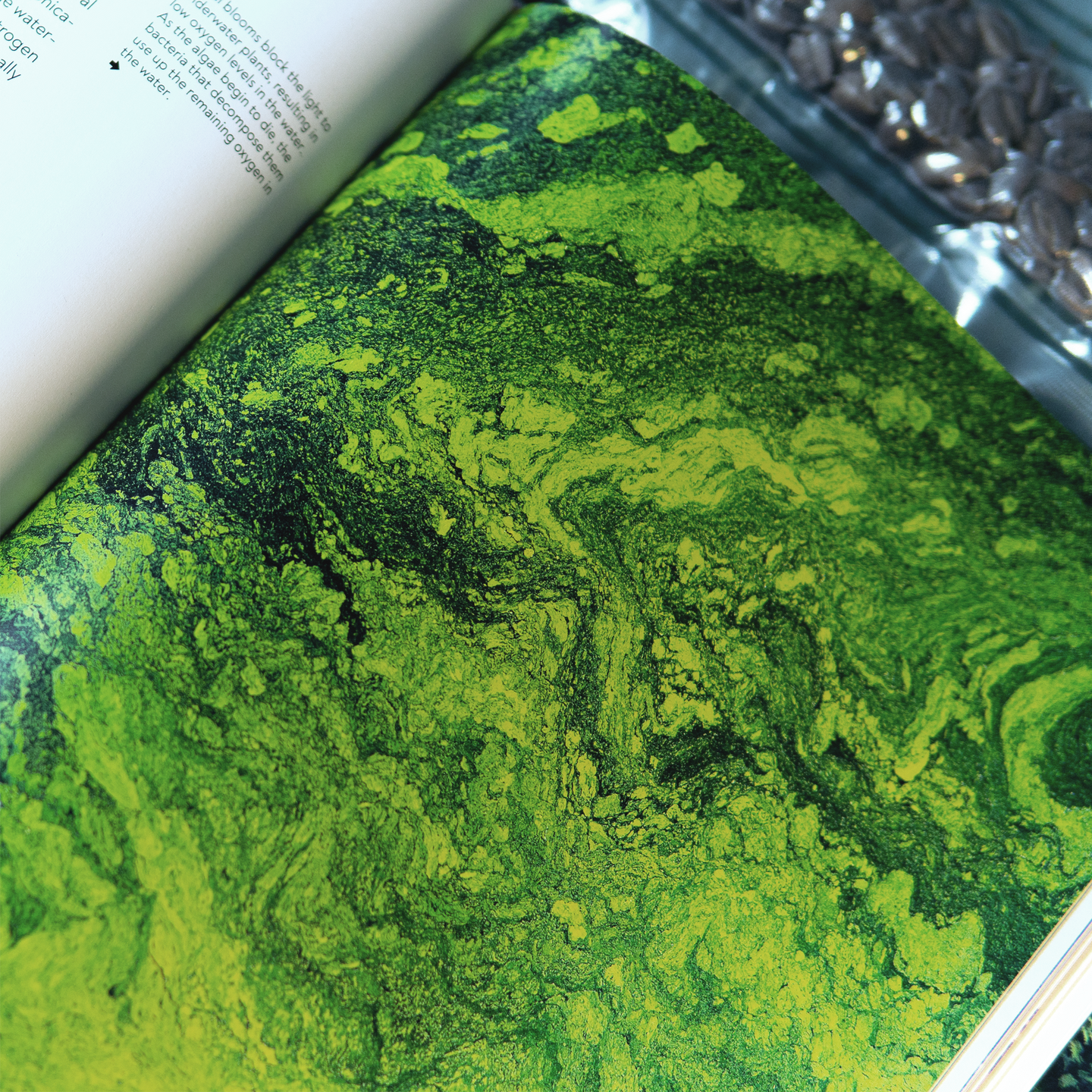 Terrior: Coffee From Seed To Harvest