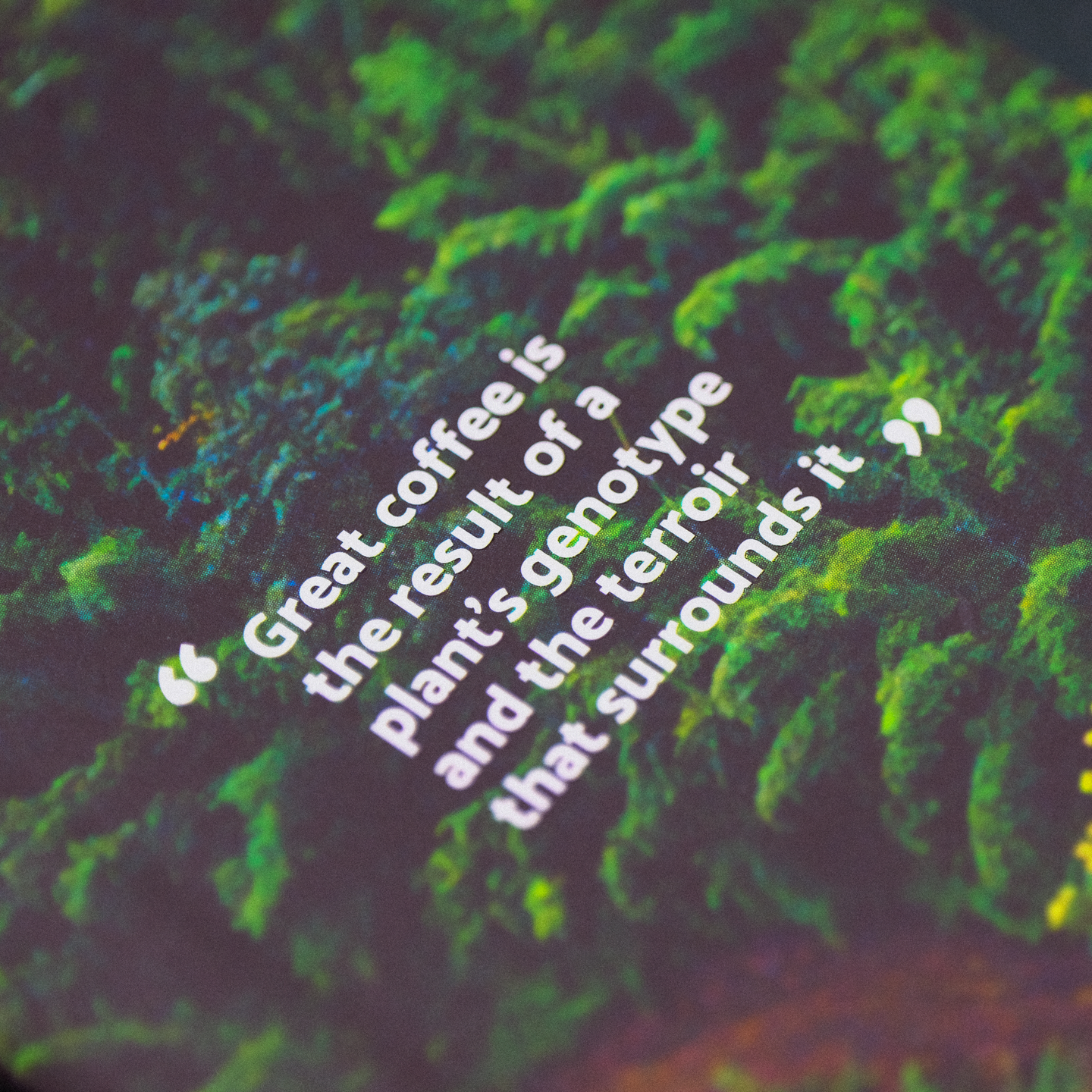 Terrior: Coffee From Seed To Harvest