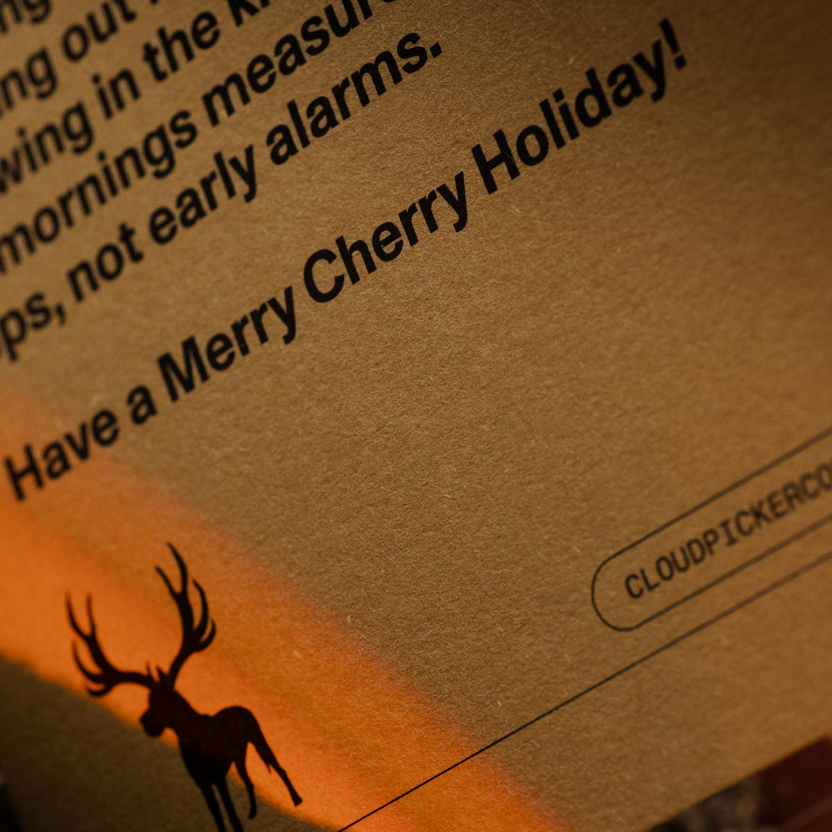 Christmas Coffee | Peru | Frontera San Ignacio