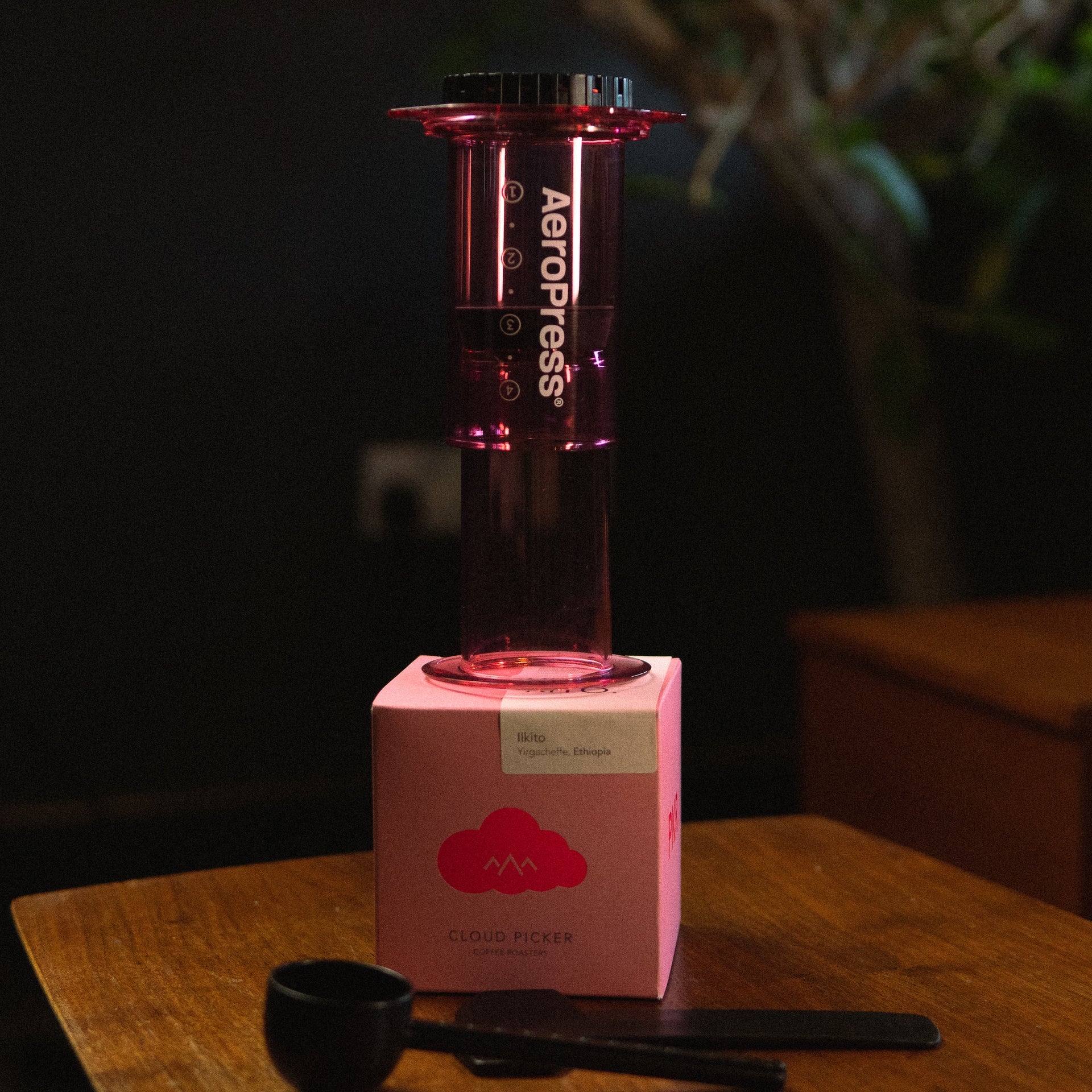 Aeropress Clear Colour