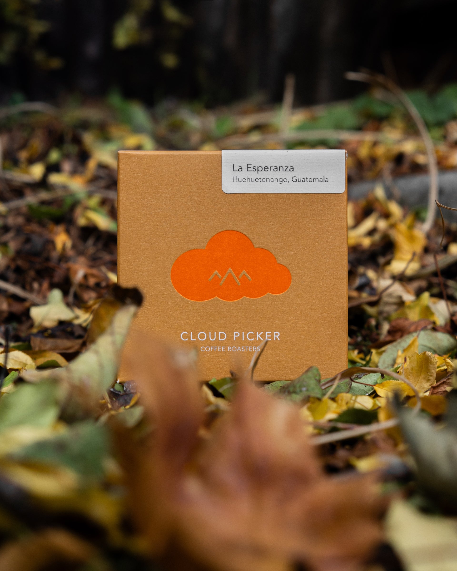 Guatemala | La Esperanza