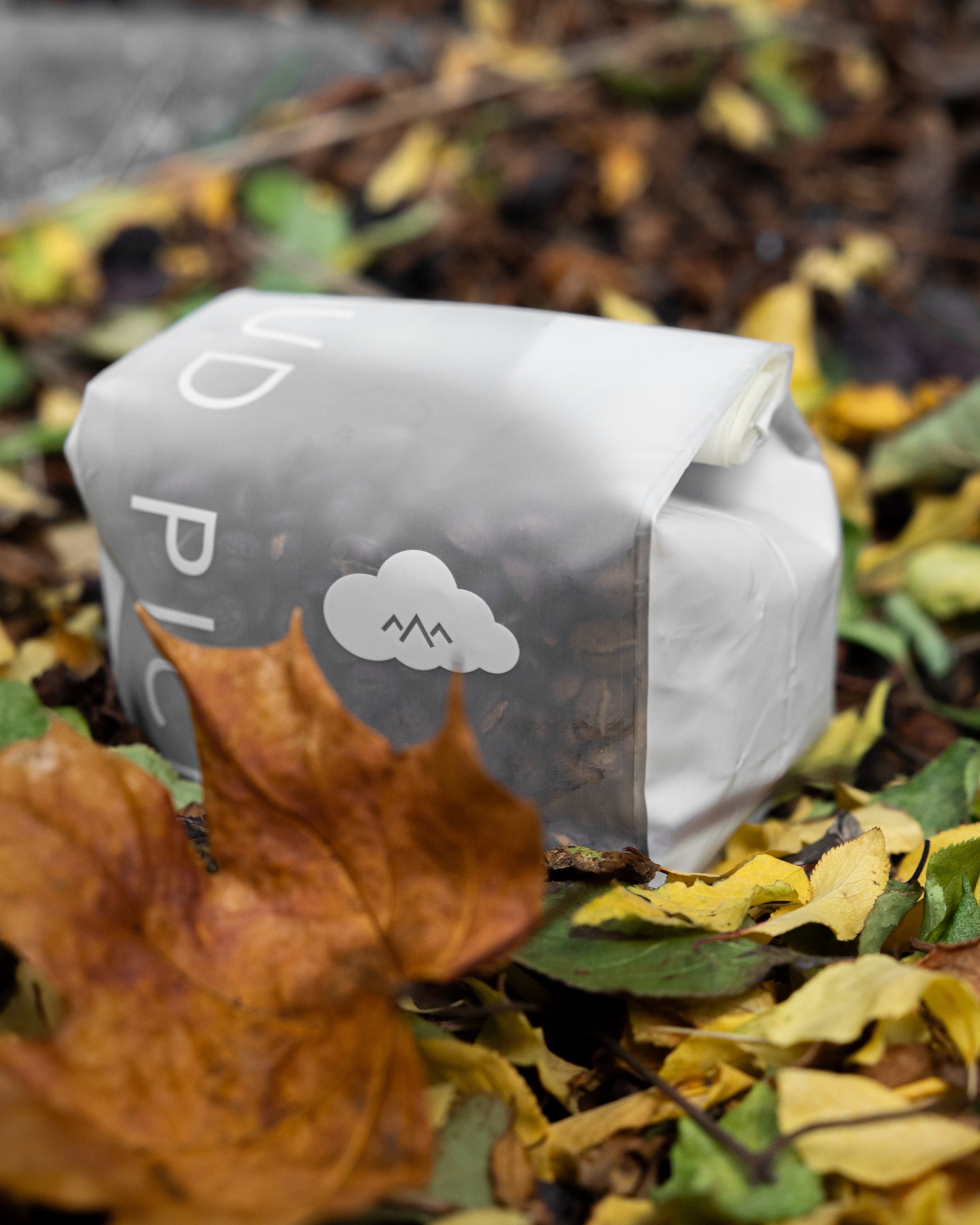 Guatemala | La Esperanza