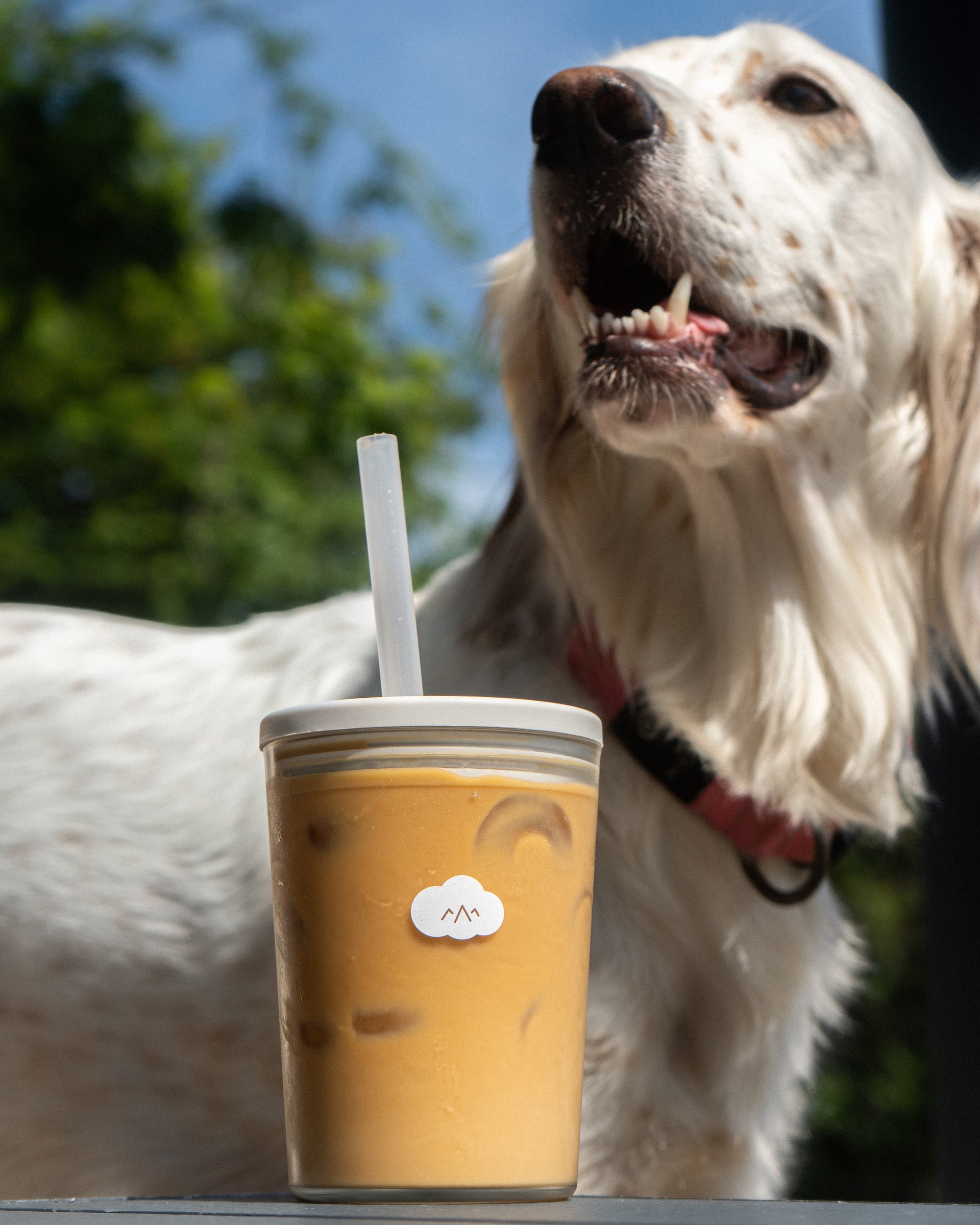 Cloud Picker Frio Cold Cup