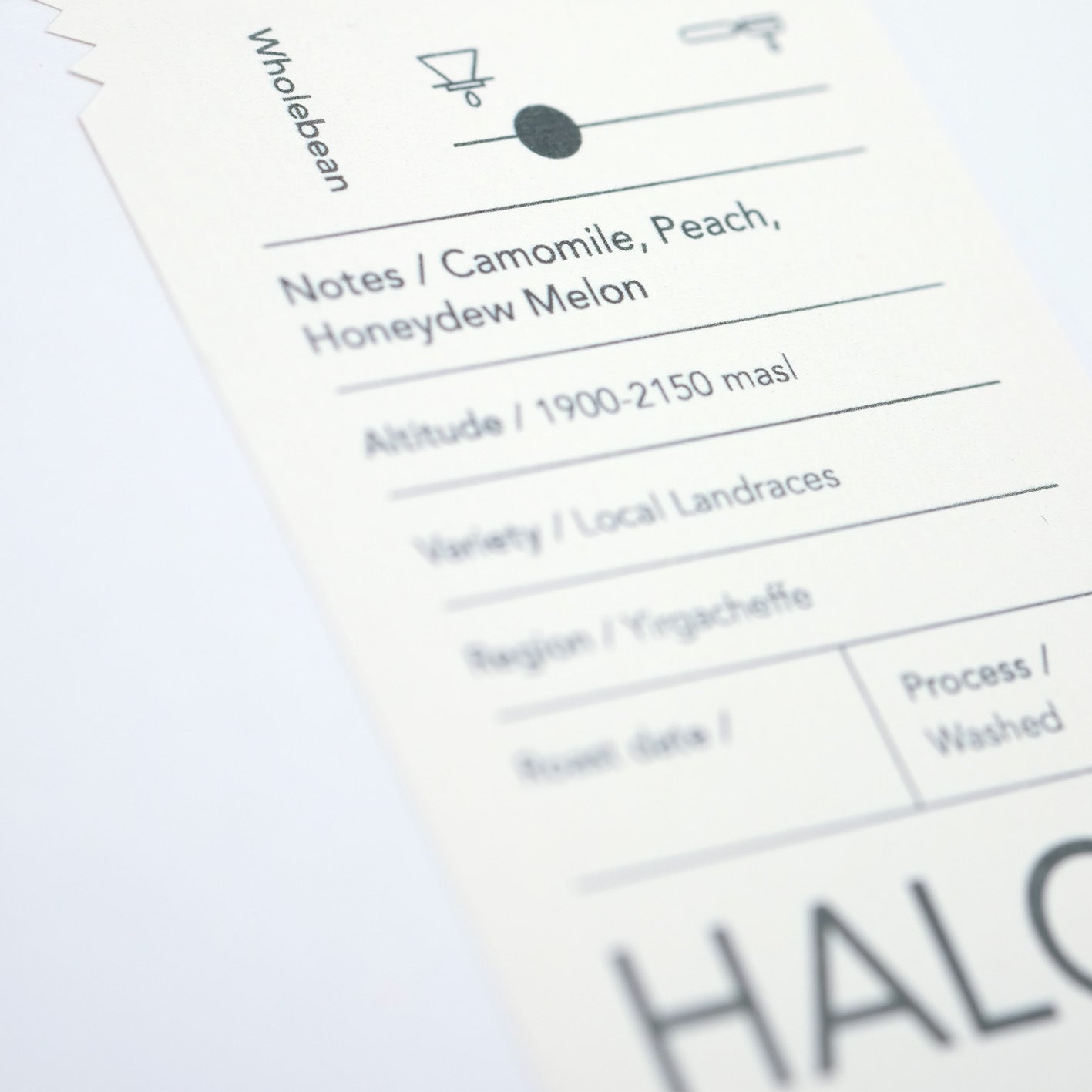 Ethiopia | Halo Beriti