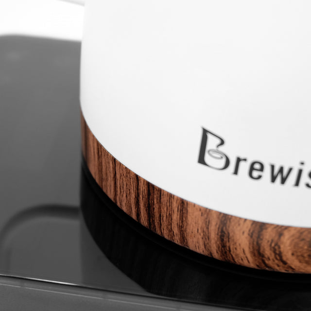 Brewista Artisan Electric Kettle