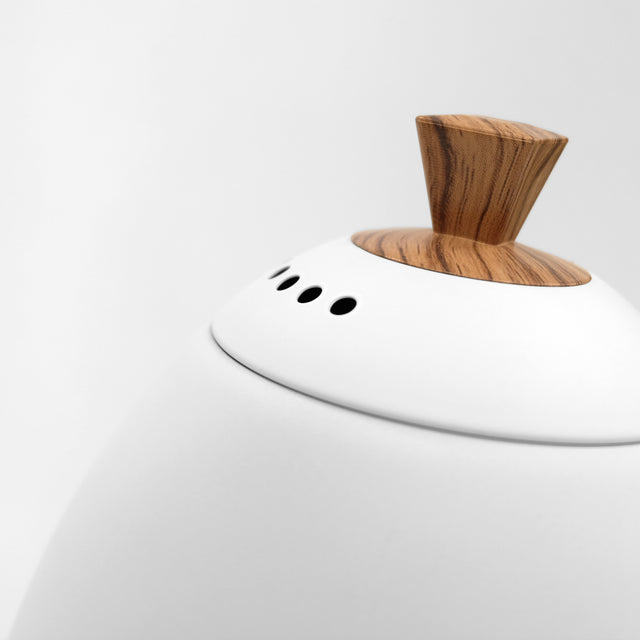 Brewista Artisan Electric Kettle