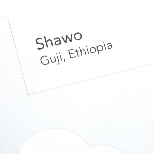 Ethiopia | Shawo