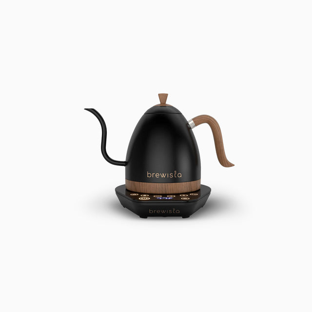 Brewista Artisan Electric Kettle